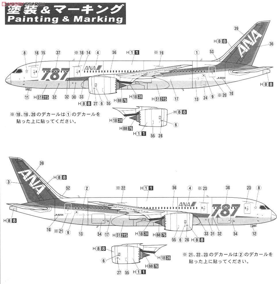 ボーイング 787-8 ANA ドリームライナー (プラモデル) 塗装2