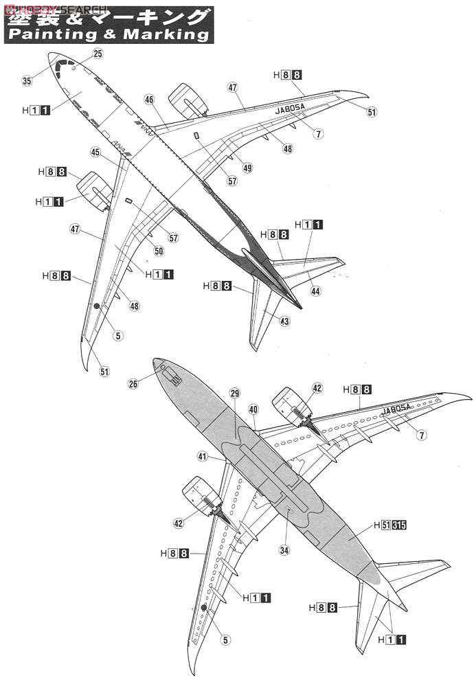 ボーイング 787-8 ANA ドリームライナー (プラモデル) 塗装3