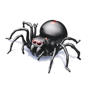 Aqua Spider (Science / Craft)
