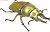 昆虫ハンター カブトムシ&クワガタ 10個セット (食玩) 商品画像3