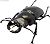 昆虫ハンター カブトムシ&クワガタ 10個セット (食玩) 商品画像4