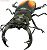 Insect Hunter Beetle & Stag Beetle 10 pieces (Shokugan) Item picture5