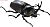 Insect Hunter Beetle & Stag Beetle 10 pieces (Shokugan) Item picture1