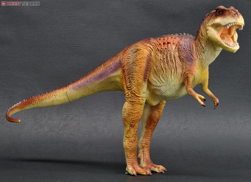 Tyrannosaurus ティラノサウルス ブラウンカラー (完成品) 商品画像3