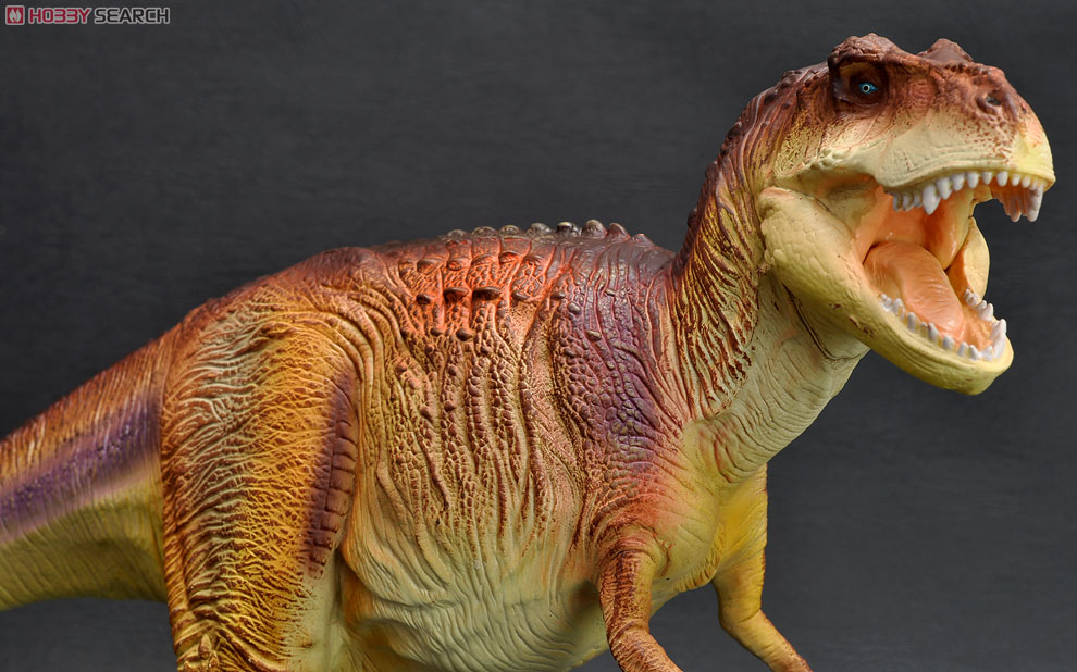 Tyrannosaurus ティラノサウルス ブラウンカラー (完成品) 商品画像4