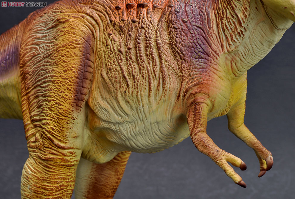 Tyrannosaurus ティラノサウルス ブラウンカラー (完成品) 商品画像5