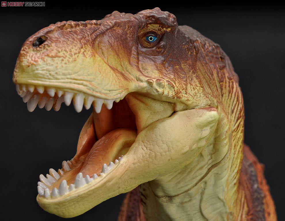 Tyrannosaurus ティラノサウルス ブラウンカラー (完成品) 商品画像6