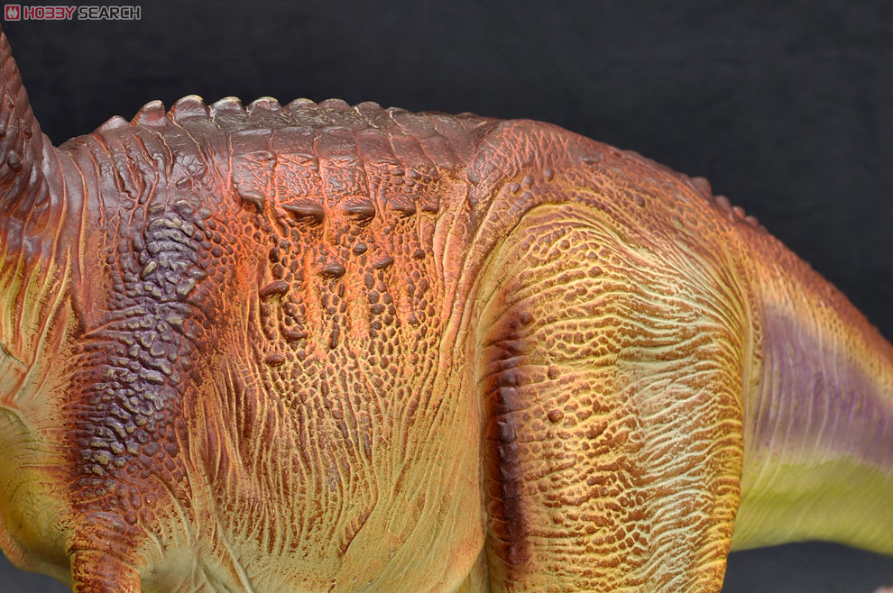Tyrannosaurus ティラノサウルス ブラウンカラー (完成品) 商品画像7