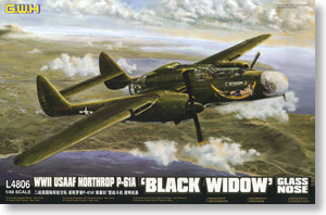 WWII 米陸軍 P-61A ブラックウィドウ グラスノーズ (プラモデル)