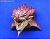 Monster Hunter Hunting Trophy Magnet Collection 8 pieces (Anime Toy) Item picture2
