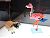 nanoblock Greater Flamingo (Block Toy) Other picture1