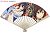 IS (Infinite Stratos) Hoki Folding Fan (Anime Toy) Item picture1