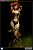 DC/ Poison Ivy Premium Format Figure (Completed) Item picture3