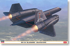 SR-71A ブラックバード `グレイブストーン` (プラモデル)