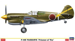 P-40E Warhawk `Prisoner of War` (Plastic model)