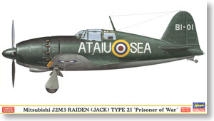 Mitsubishi J2M3 Raiden (Jack) Type21 `Prisoner of War` (Plastic model)