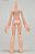 Picco Neemo D Body (Fresh Color) (Fashion Doll) Item picture6