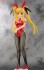 フェイト・T・ハラオウン バニーVer. (フィギュア) 商品画像1 サムネイル