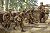 WW.II フランス陸軍 歩兵 スダン 1940 (プラモデル) その他の画像1