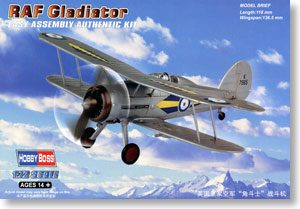 Gloster Gladiator (Plastic model)