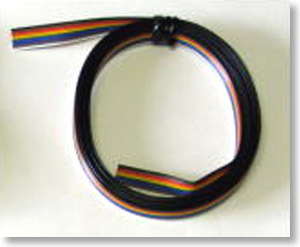 10 Color Parallel code 2m (Model Train)