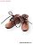 Mannish Shoes (Brown) (Fashion Doll) Item picture1