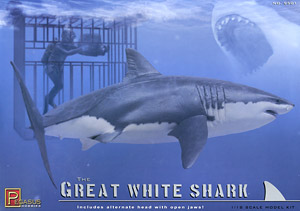 Great white Shark (Plastic model)
