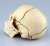 頭蓋骨解剖モデル (プラモデル) 商品画像2