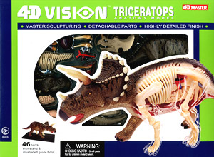 3D Puzzle 4D VISION Zootomy No.23 Triceratops Anatomical Model (Plastic model)