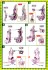 Pokemon Plastic Model Collection Mewtwo (Plastic model) 設計図2 Thumbnail