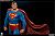 DC - Superman Premium Format Figure (Completed) Item picture3