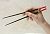 Samurai Sword Chopstick Takeda Shingen (Anime Toy) Other picture2