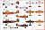横須賀海軍航空廠/川西 K5Y1 九三式中間練習機 ｀赤とんぼ｀ 陸上機 1940 (プラモデル) 塗装1
