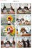 えっくす☆きゅーと 公式4コママンガ 4コマ☆きゅーと (書籍) 商品画像2 サムネイル