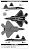 仮想空自仕様 F-22 第6飛行隊(築城) (プラモデル) 塗装1