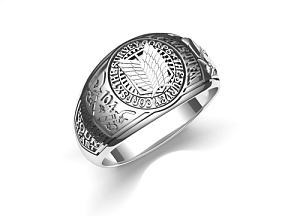 Attack on Titan Survey Corps Silver Ring Size : 9.5 (Anime Toy) -  HobbySearch Anime Goods Store