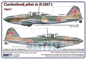 [1/48] IL-2M3 シュトルモビク `チェコスロバキア義勇 パイロット` Part1 (デカール)