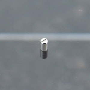 マイナスパイル 1.0mm (10個入) (素材)