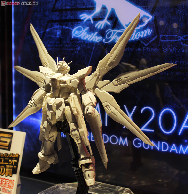 ZGMF-X20A ストライクフリーダムガンダム (RG) (ガンプラ) その他の画像2