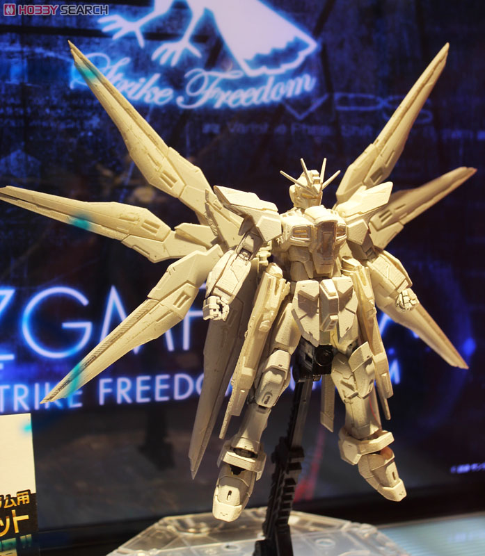 ZGMF-X20A ストライクフリーダムガンダム (RG) (ガンプラ) その他の画像3