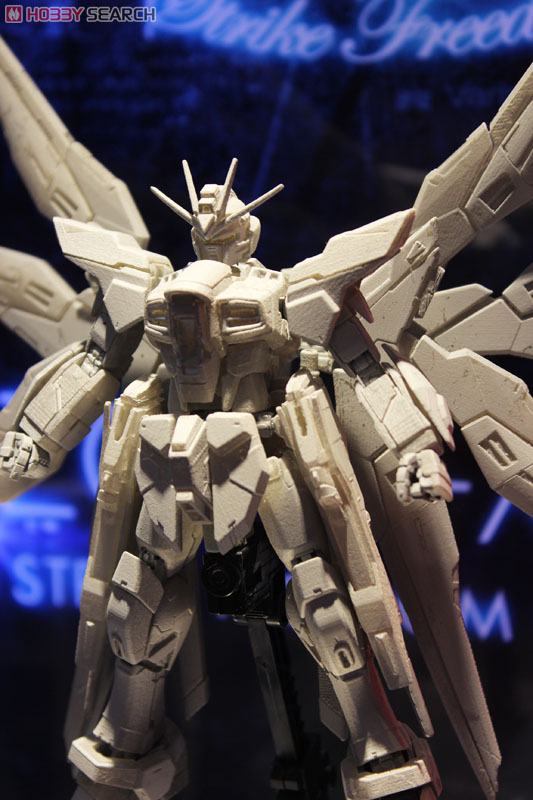 ZGMF-X20A ストライクフリーダムガンダム (RG) (ガンプラ) その他の画像4