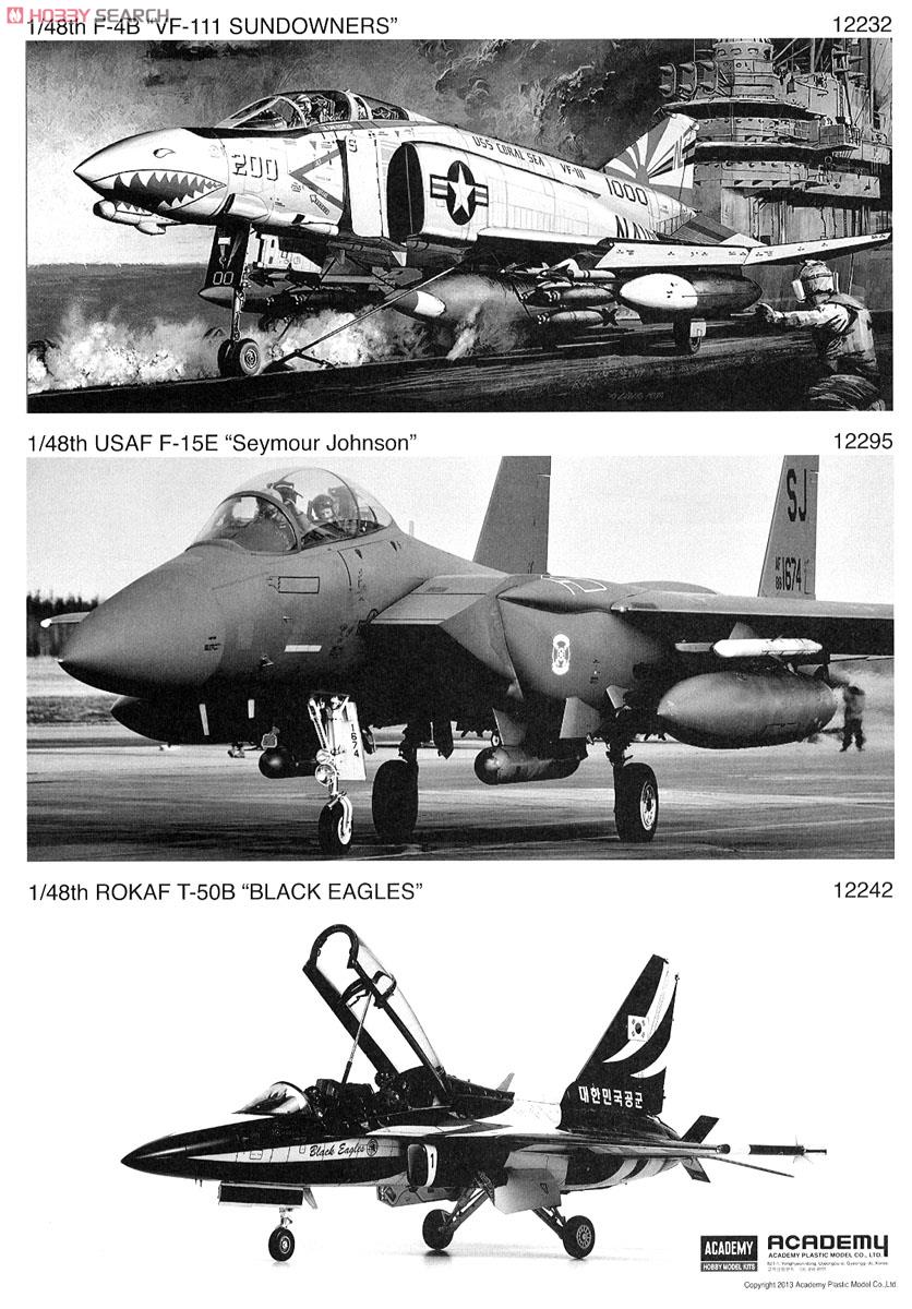 F-4C ファントムII `ベトナム` (プラモデル) 塗装3