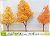 `Tree of N` #4 Autumn leaf color Tree - Orange Three colors (3pcs.) (Model Train) Item picture2