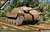 Hetzer Early Production (Plastic model) Package1
