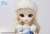 Pullip / Princess Dahlia Cinderella (Fashion Doll) Item picture6