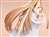 Asuna -Titania- (PVC Figure) Other picture4