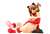 Komaki Manaka Animal Costume Red Cat ver. (PVC Figure) Item picture7