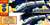 ディズニードリームレールウェイ ドナルドダック マリンシャトル (3両セット) (プラレール) 商品画像5