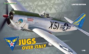 P-47D `Jugs over Italy` (プラモデル)