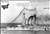 露戦艦 イオアン・ズラトウースト 1911 WW1 (プラモデル) パッケージ1